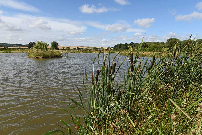 Fishing events and club matches nottinghamshire